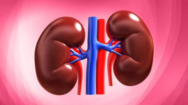 If you want to keep your kidneys healthy, give up those habits...