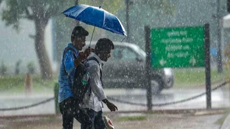 Yellow alert in 3 districts of Punjab today, rain in 12 districts news in hindi