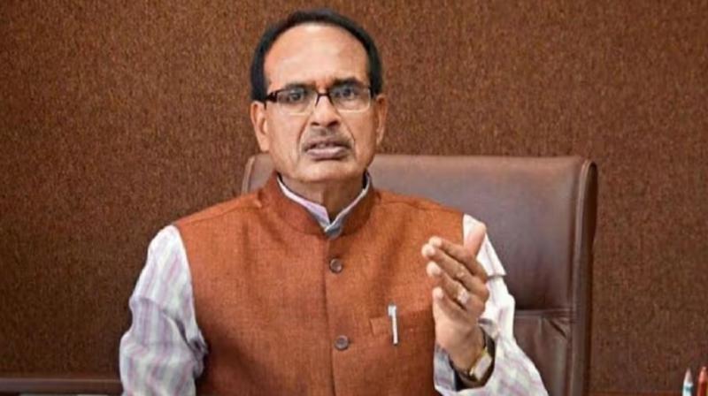 Shivraj Chauhan Govt purchase all agricultural Produce at MSP News In Hindi