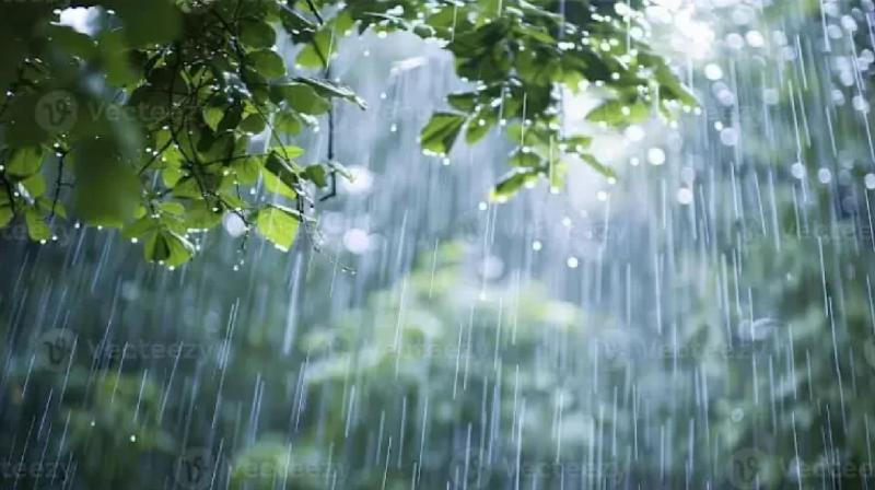 Pakistan Weather News: Meteorological Department predicts more monsoon rains from August 14