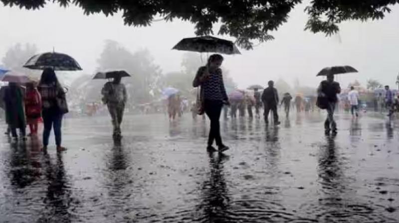 Punjab Chandigarh Weather Rain Update News In Hindi