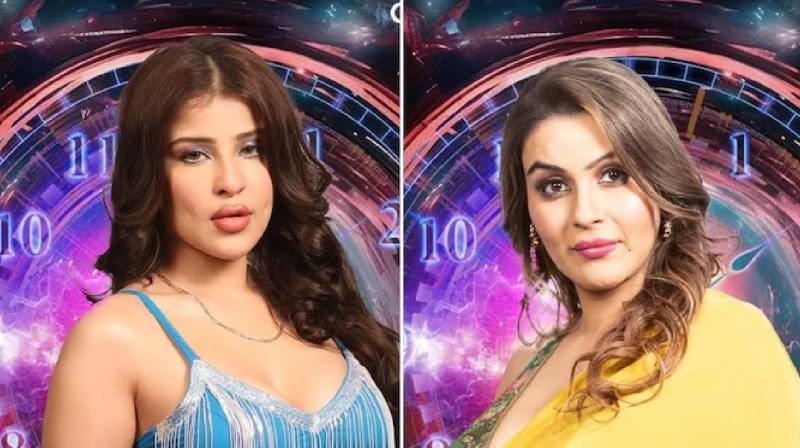 Yamini and Adin evicted from Bigg Boss 18 house news in hindi