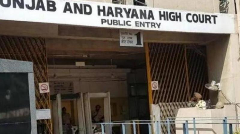 Punjab Haryana High Court Haryana Govt Gurudwara EC News In Hindi 