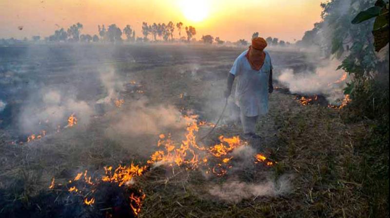 Punjab Pollution This time in October more pollution News In Hindi