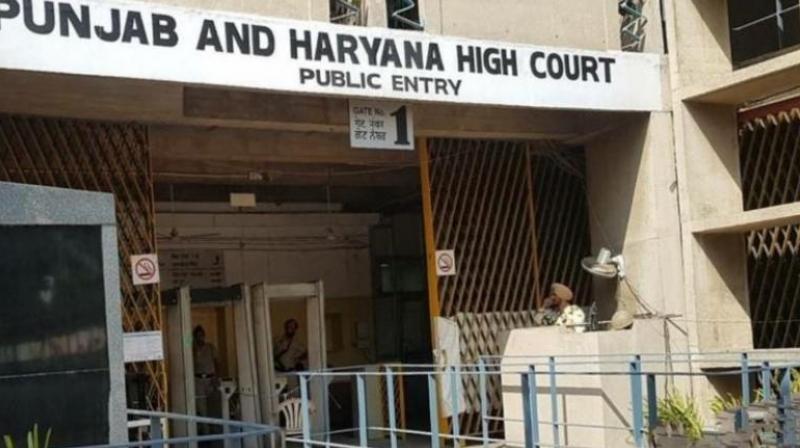 Punjab-Haryana High Court: High Court bans further sale of Jarnail Bajwa's property 