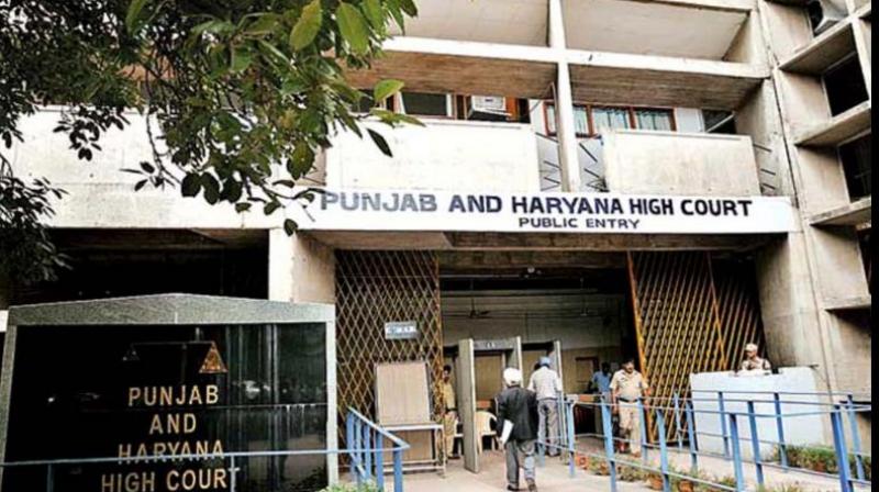 Punjab and Haryana High Court orders Punjab government to present election program by October 14