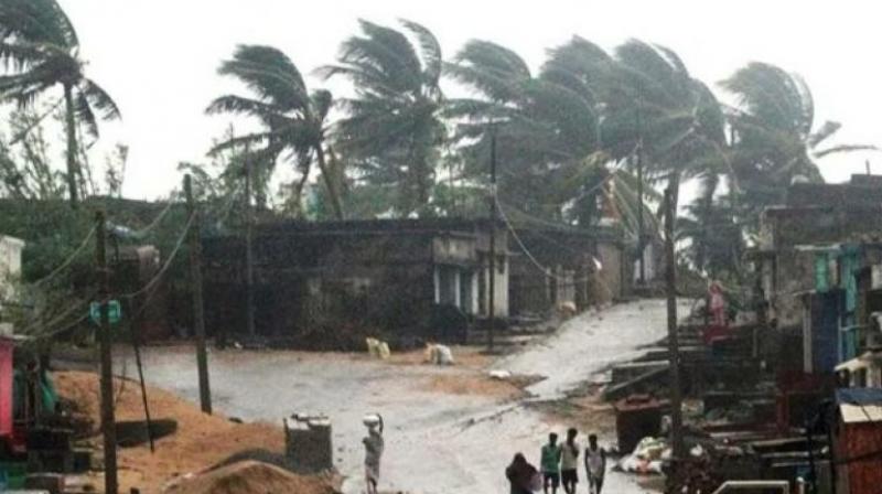 Odisha Crops Damaged Due To Cyclone And Rain News In Hindi