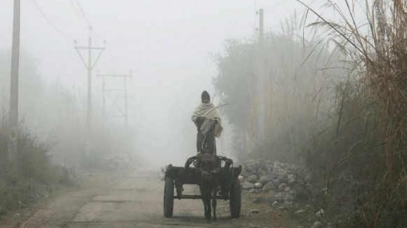 Cold knocked in Punjab, day started with fog News in hindi