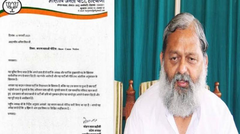 Haryana Minister Anil Vij submitted reply to BJP show cause notice news in hindi