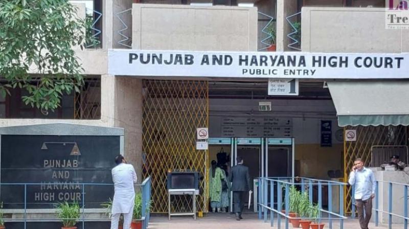 Courts should adopt a sympathetic approach on annulment reports in matrimonial dispute cases Punjab and Haryana HC