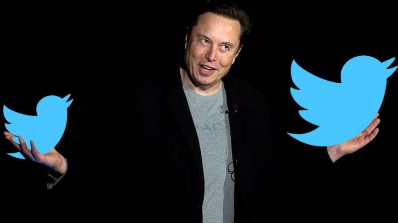 Twitter has changed under the rule of Elon Musk