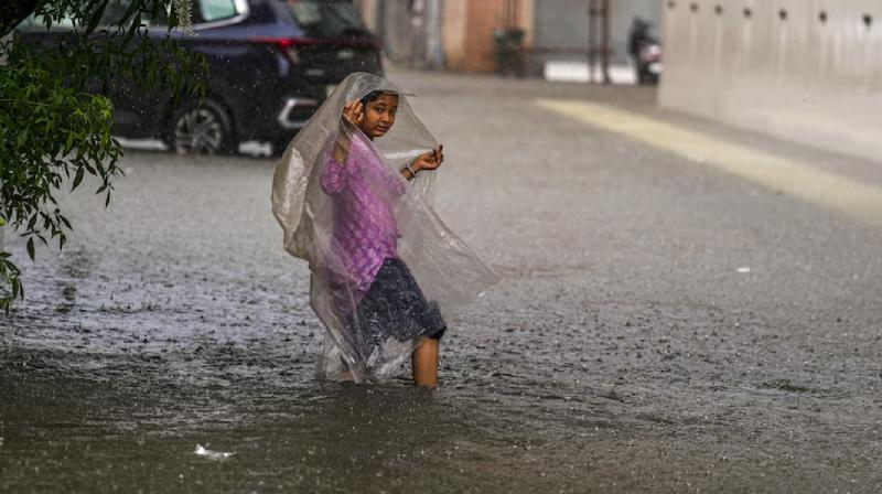 Chennai Rains Update IMD issues ‘orange’ alert latest News in Hindi