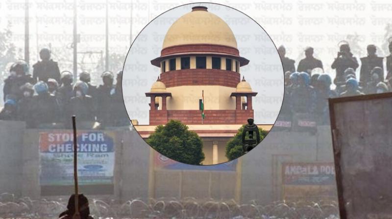 Supreme Court formed a committee to talk to farmers, said- the issue should not be politicized