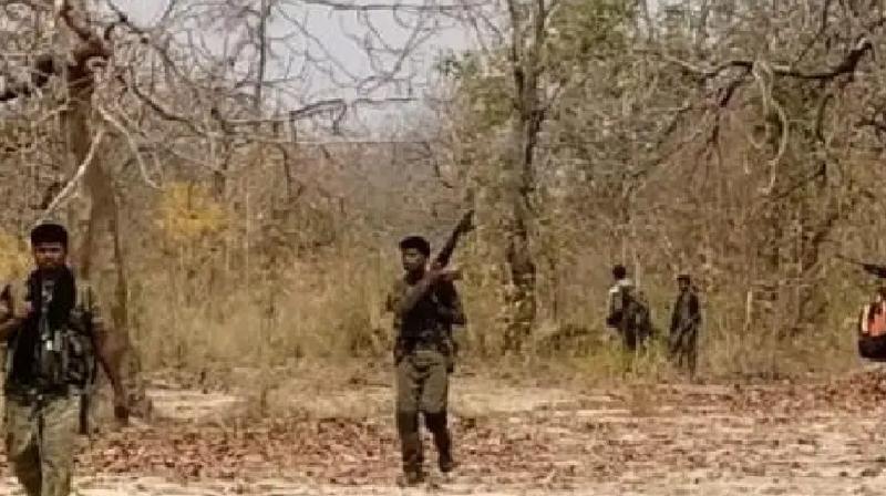 Seven Naxalites killed in police encounter in Mulugu, Telangana news in hindi