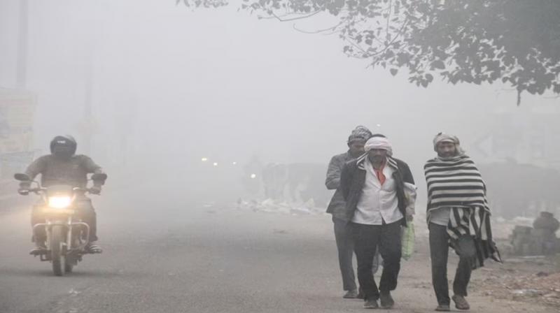 Punjab Weather Update Fog alert 14 districts News In Hindi