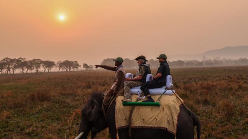 Prime Minister Narendra Modi reach Kaziranga National Park news in hinid 