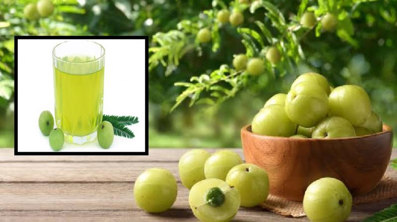 Amla is also beneficial in cataract News In Hindi