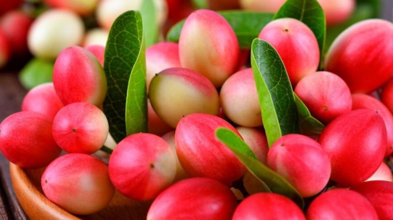 Seasonal fruit 'Karonda' beneficial for health News In Hindi