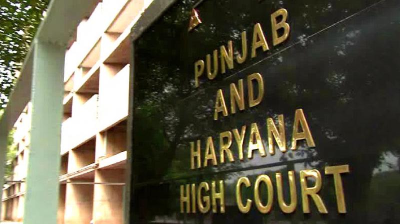 Punjab and Haryana High Court refused to grant interim bail to the person accused under UAPA, said this