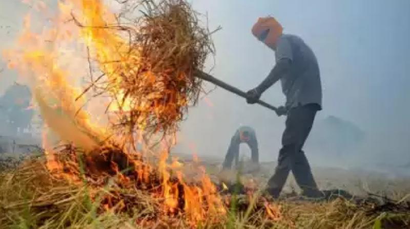  Stubble Burning Fine Double Update Central government News in Hindi