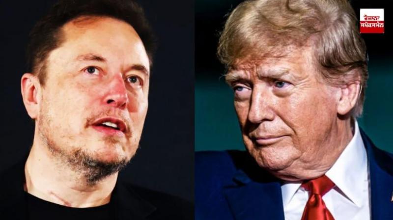 After Donald Trump victory Elon Musk earned 26.5 billion dollars in one day News In Hindi