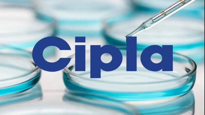 Cipla second quarter net profit increases 17% to Rs1,303 crore news In Hindi