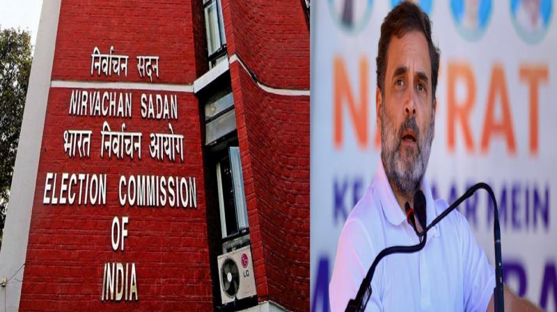 ECI Congress allegations irregularities Haryana election News in Hindi