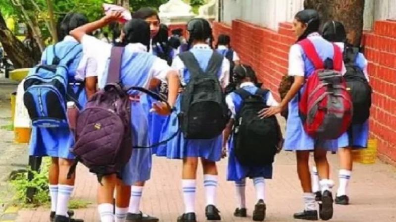 Haryana schools change timing for 2024-25 session news In Hindi