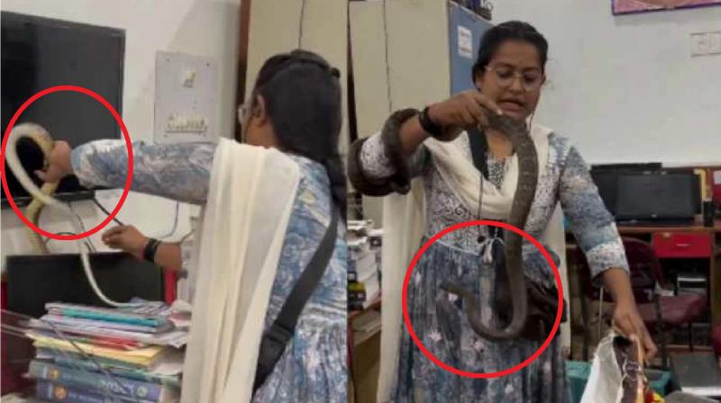 woman went viral on social media, captured the snake News in hindi