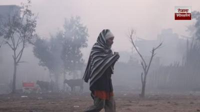 Cold wave and dense fog affect normal life in Punjab