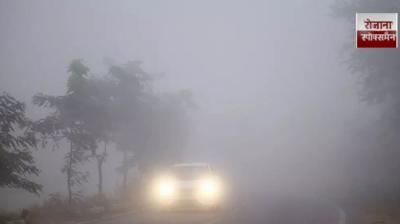 Nights turn colder in punjab fog will persist in the coming days news in hindi
