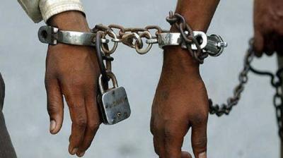 UP: Four cattle smugglers arrested, 18 cattle recovered