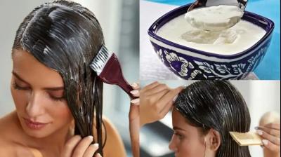 There are many benefits of applying curd on hair News In Hindi