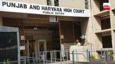 Punjab and Haryana HC Punjab Government vip number News In Hindi
