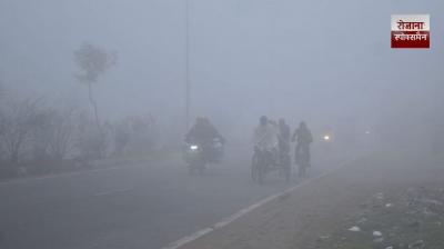 Orange alert issued for dense fog in punjab