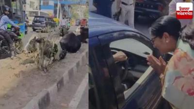 Delhi CM Rekha Gupta stopped her convoy after seeing cows on the road news in hindi