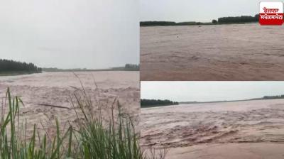 Water level of Ravi river rises in Punjab, connectivity of 7 villages lost news in hindi