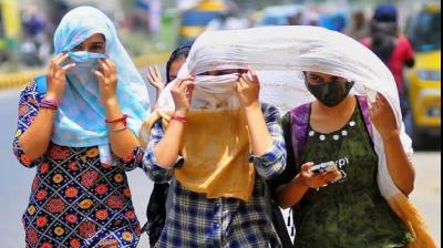  Punjab Weather Update News in Hindi