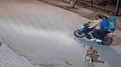 Firing on youth in Chandigarh, miscreants have connection with Lawrence Bishnoi