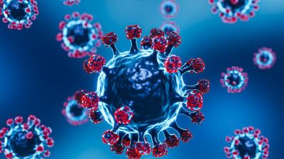 Covid-19 Cases Hong Kong to Singapore News In Hindi