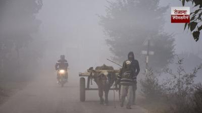 The cold wave continues in Punjab, with an alert for dense fog and cold wave