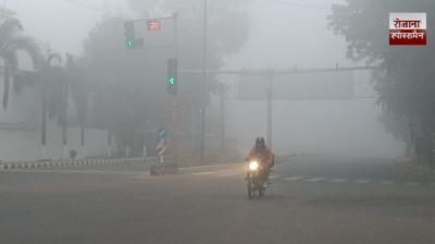 Cold wave grips Punjab and Chandigarh