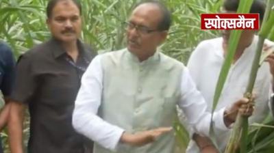 Union Agriculture Minister Shivraj Chauhan blamed illegal mining for the floods news in hindi