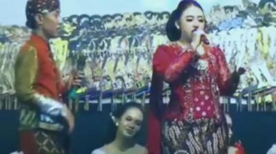 Anan Ta Pad Chaye Annana Paathiya Instagram Reels Song viral news in hindi