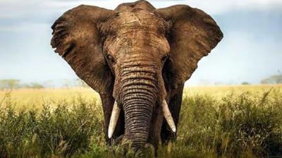 सांकेतिक तस्वीर