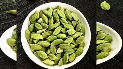 Amazing Benefits of Chewing Green Cardamom news in Hindi