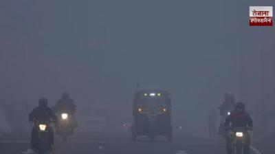 Fog alert issued for Punjab and Chandigarh