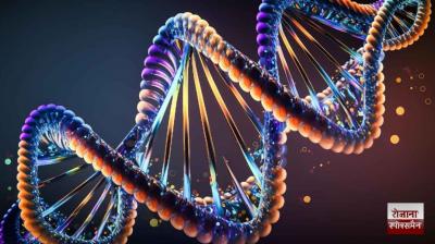 'Telomeres' have an impact on cancer and age-related problems: Jack Szostak