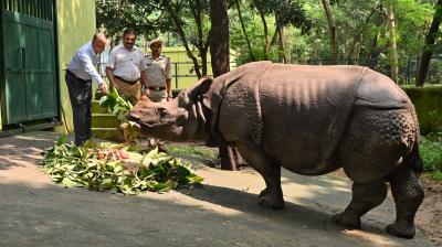 Patna Zoo becomes the center of rhino conservation, second in the world news in hindi