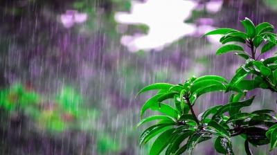 Rain in Delhi-NCR and other parts of North India today weather news in hindi